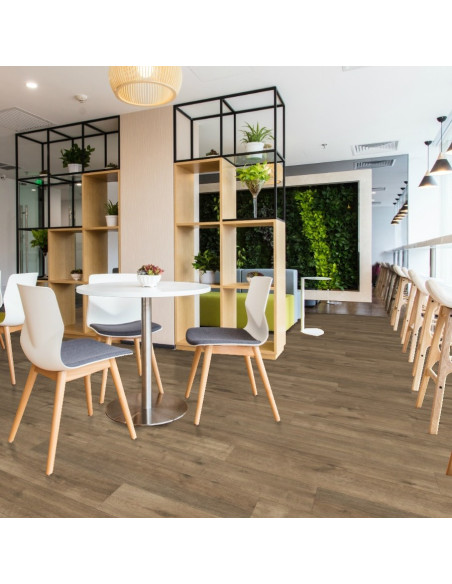 Pastorelli Arkè Tortorra 20x120