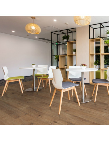 Pastorelli Arkè Tortorra 20x120