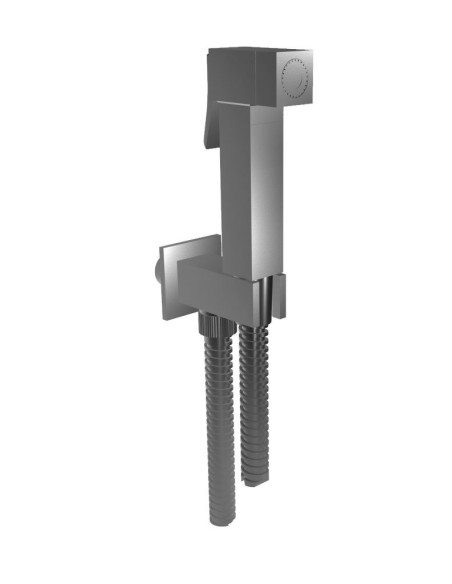 Bongio shower set bidet framework for toilet