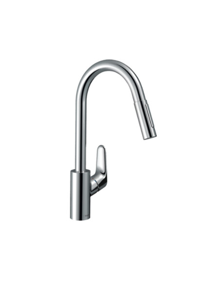 Hansgrohe Focus M41 Single lever kitchen mixer with pull-out hand shower