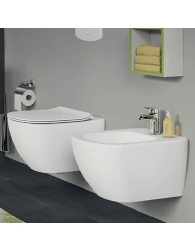 Fixation Abattant WC Ideal Standard TESI TV09767