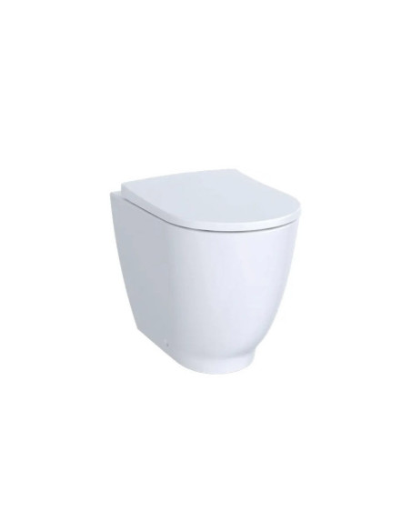 Rimfree Acanto Geberit back to wall WC with soft seat cover