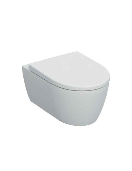 Geberit Icon Rimfree wall hung toilet and soft close seat