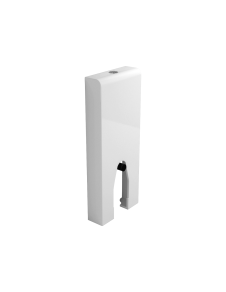 Flaminia Niagara Monobloc Cistern for App Goclean back to wall toilets