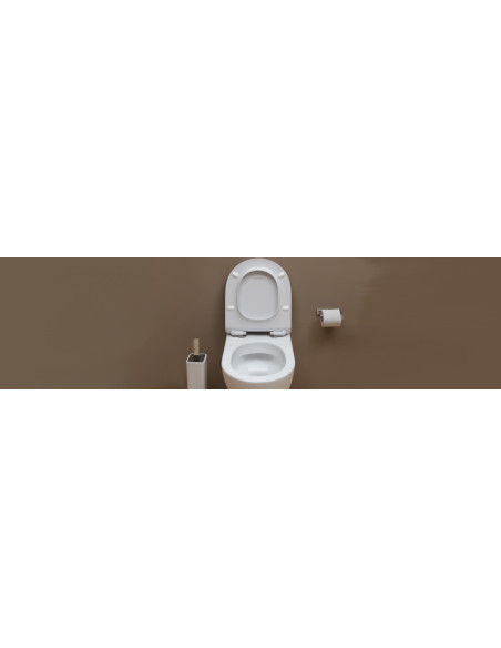 Toilet with seat